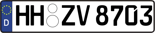 HH-ZV8703