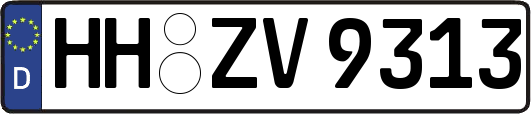 HH-ZV9313