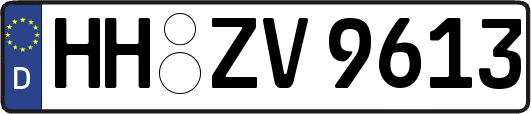 HH-ZV9613