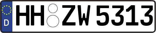 HH-ZW5313