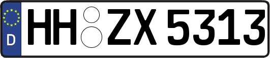 HH-ZX5313