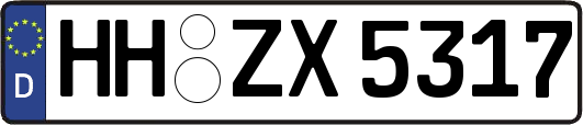 HH-ZX5317