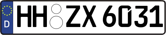 HH-ZX6031