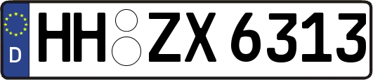 HH-ZX6313