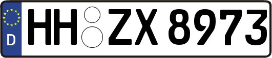 HH-ZX8973