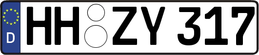 HH-ZY317