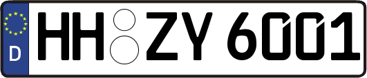 HH-ZY6001