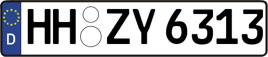 HH-ZY6313