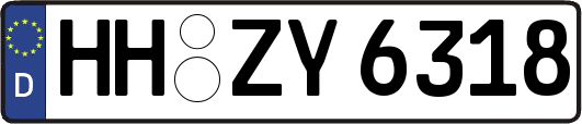 HH-ZY6318