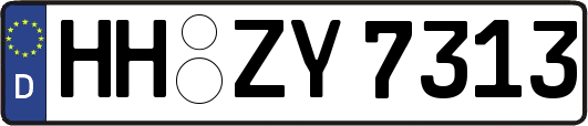 HH-ZY7313