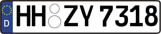 HH-ZY7318