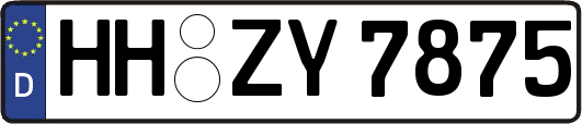 HH-ZY7875