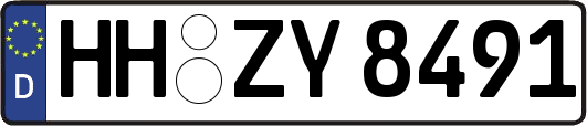 HH-ZY8491