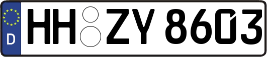 HH-ZY8603