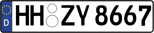 HH-ZY8667