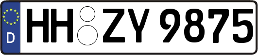 HH-ZY9875