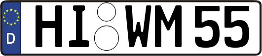 HI-WM55