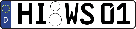HI-WS01