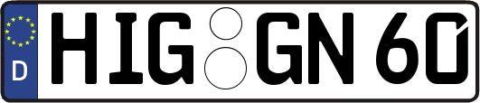 HIG-GN60