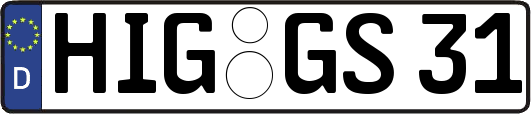 HIG-GS31