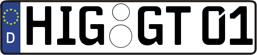 HIG-GT01