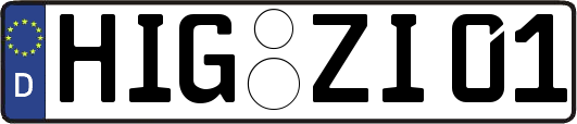 HIG-ZI01