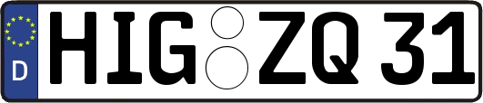 HIG-ZQ31