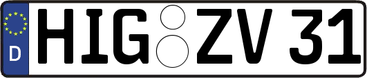 HIG-ZV31