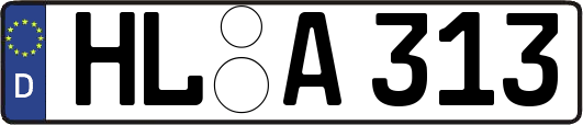 HL-A313