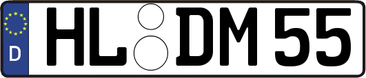 HL-DM55