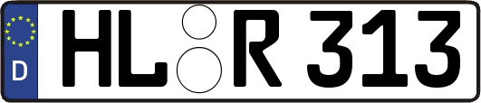HL-R313