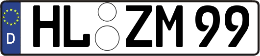 HL-ZM99