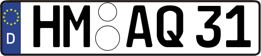 HM-AQ31