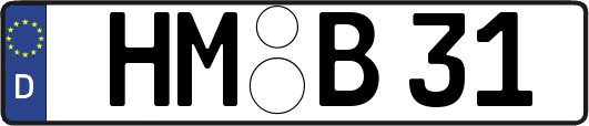 HM-B31