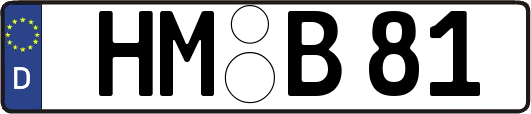HM-B81