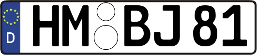 HM-BJ81