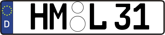 HM-L31