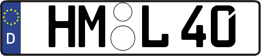 HM-L40