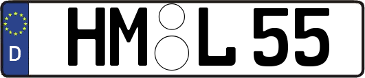 HM-L55
