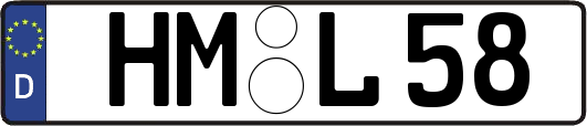HM-L58