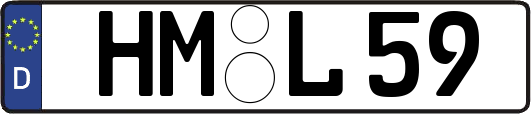 HM-L59