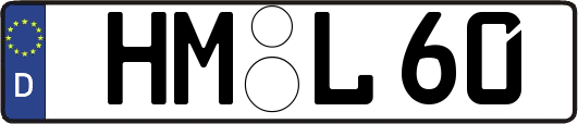 HM-L60