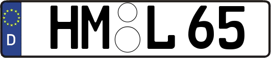 HM-L65