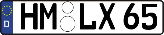 HM-LX65