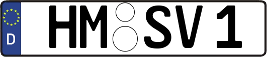 HM-SV1