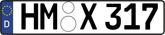 HM-X317