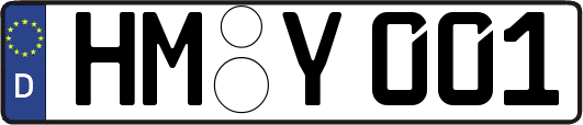 HM-Y001