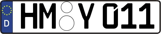 HM-Y011