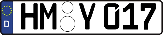 HM-Y017