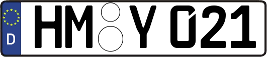 HM-Y021